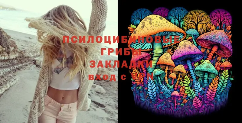 Псилоцибиновые грибы Magic Shrooms  shop наркотические препараты  Кодинск 